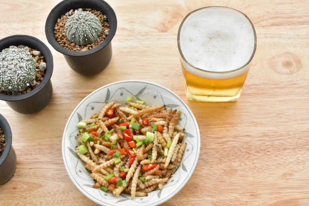 Why Insects Are A Great Sustainable Source of Protein