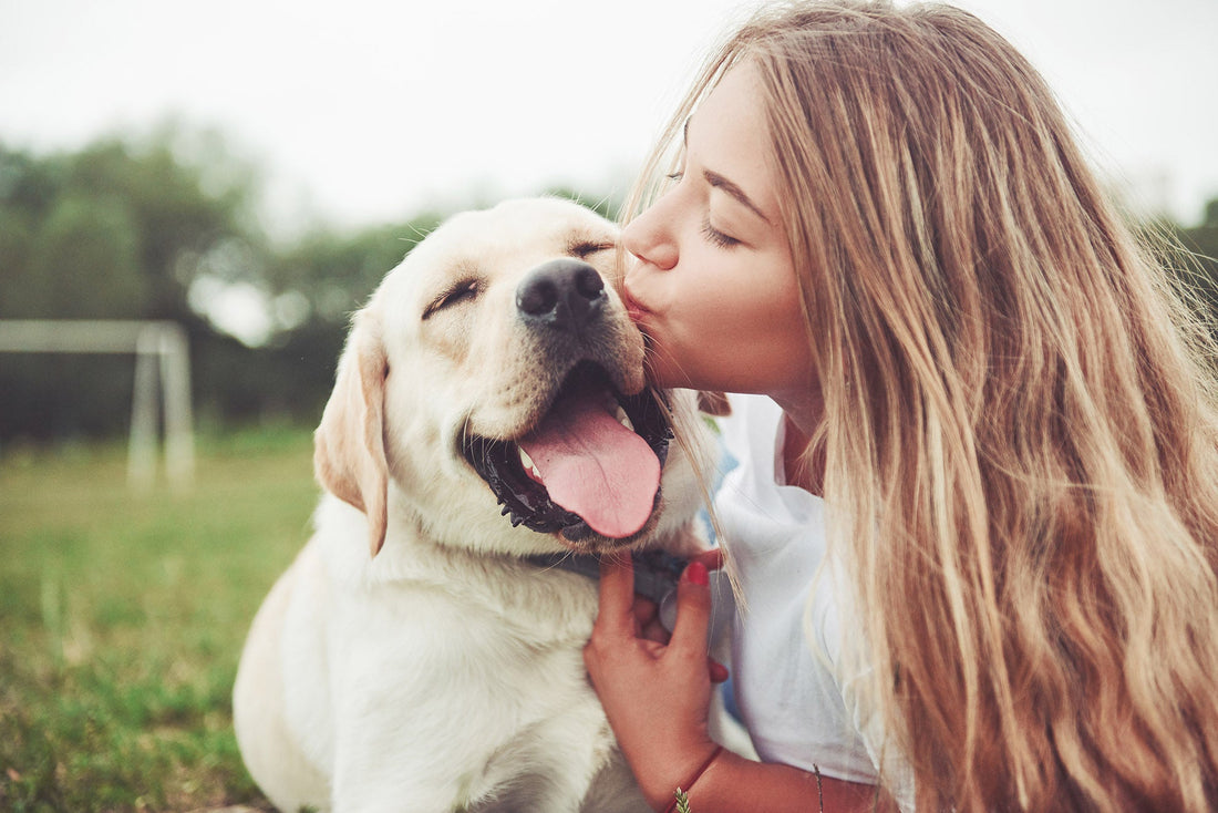 DENTAL HEALTH FOR DOGS PART 2