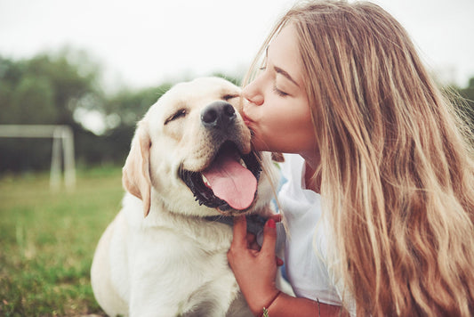 DENTAL HEALTH FOR DOGS PART 2