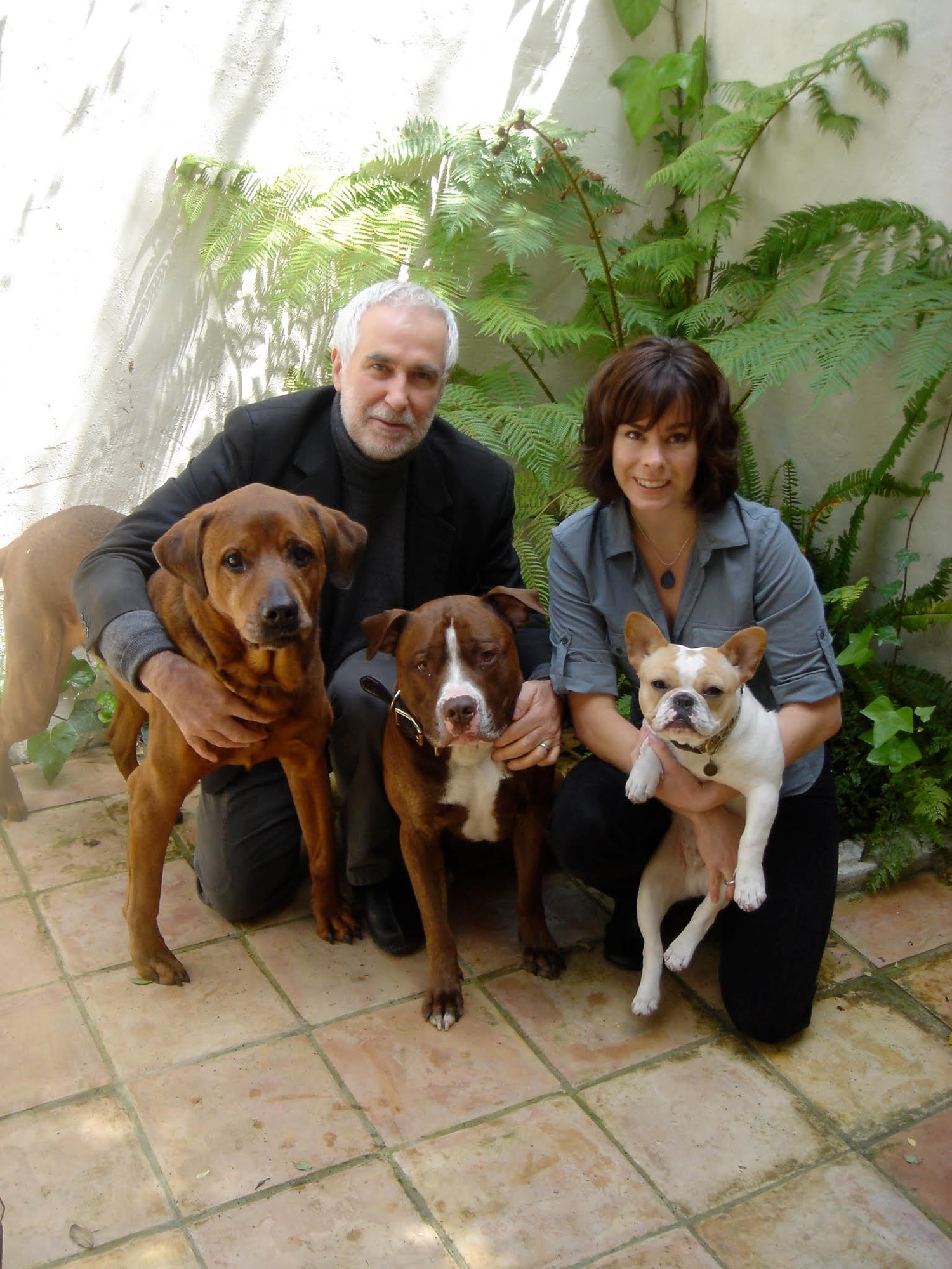 What Makes a Good Dog Training Treat?