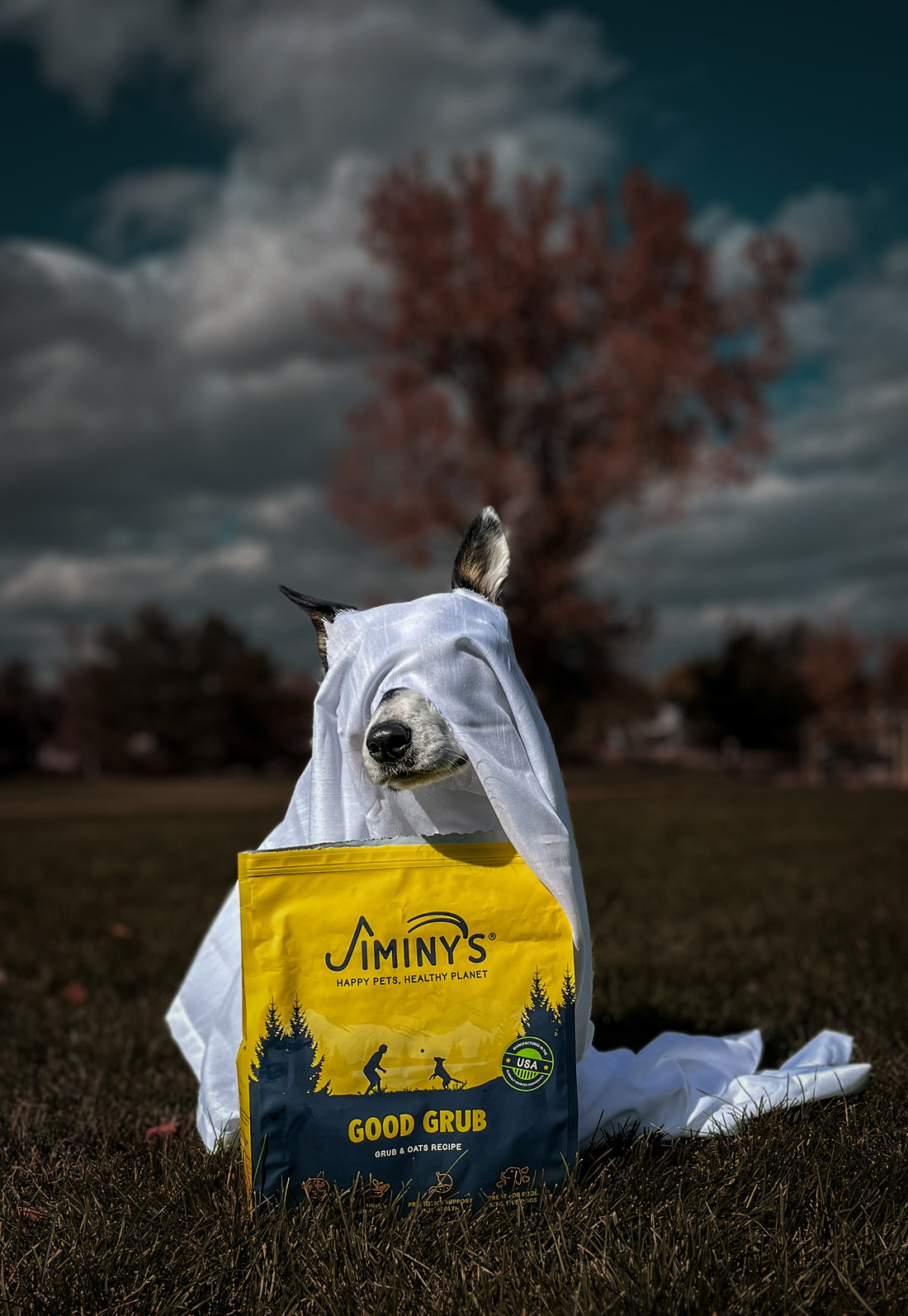 Dog in ghost costume with Jiminy's Good Grub