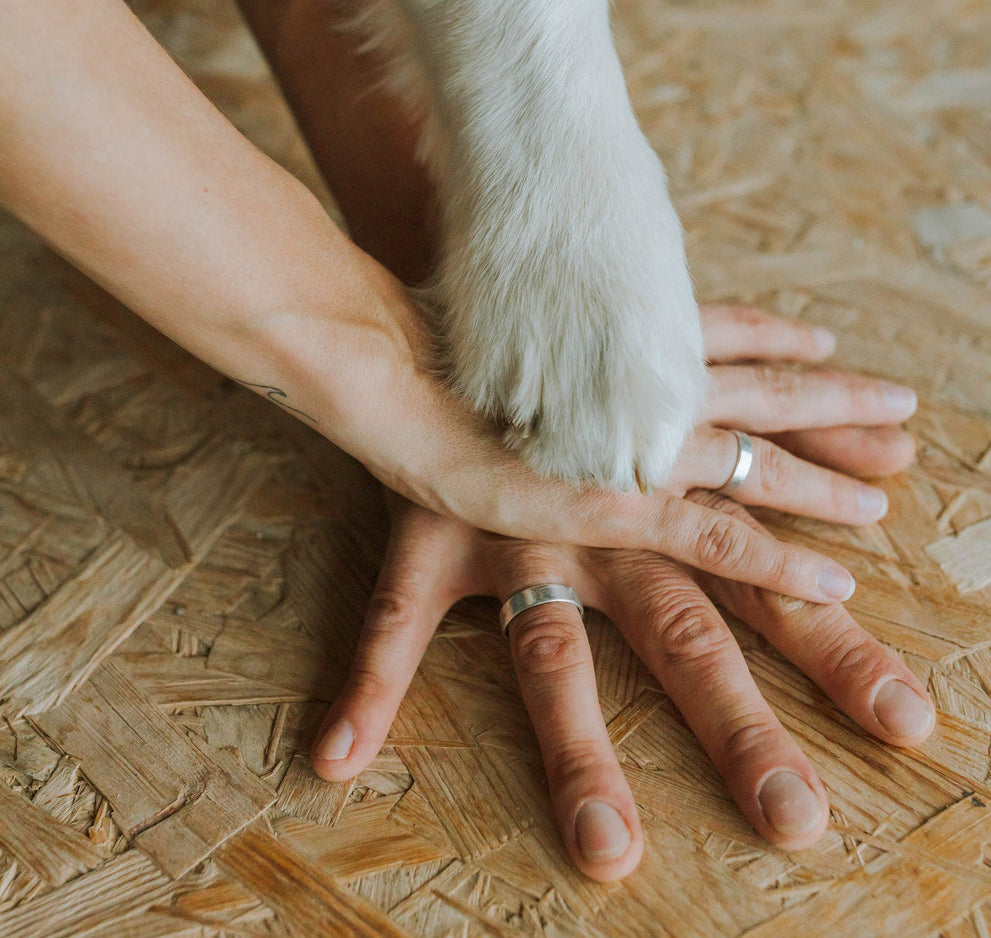 It’s Adopt a Less-Adoptable Pet Week! Let’s Celebrate