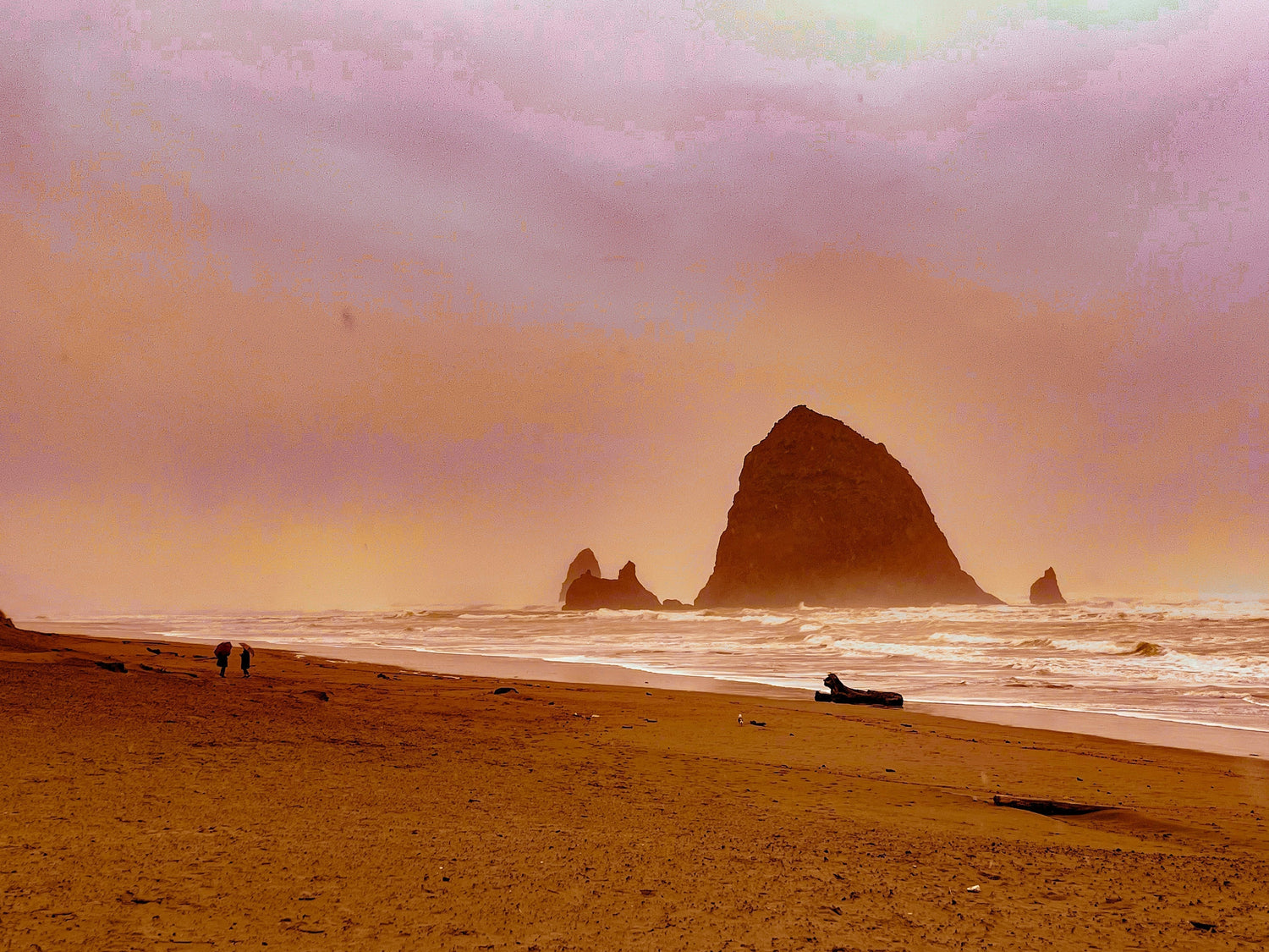 13 Best Dog-Friendly Beaches on the Oregon Coast: The Ultimate Guide