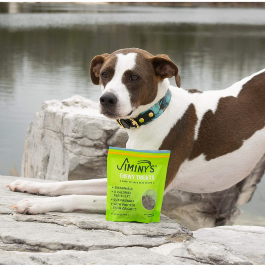 Dog Treats for Sensitive Stomachs: Finding the Perfect Match