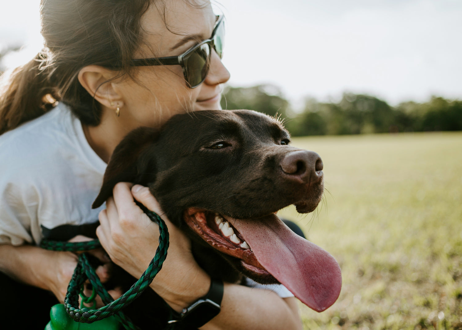 how to know if your dog is happy — and 15 simple ways to make them happier