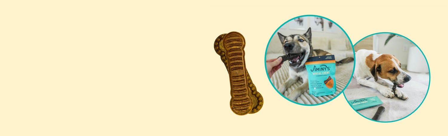 DENTAL CHEWS