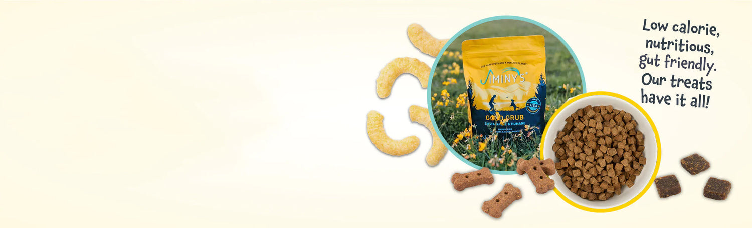 Digestive Health
