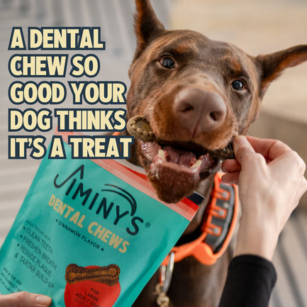 Cinnamon Dental Chews - Large