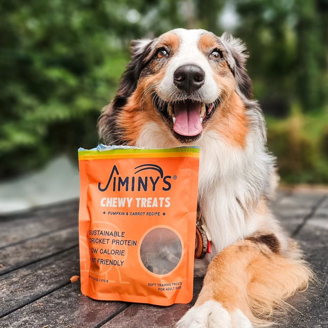 dog with a bag of Jiminy's Pumpkin and Carrot: Soft and Chewy Training Treats with Cricket Protein