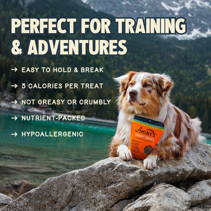 Chewy Treats — Pumpkin & Carrot Recipe