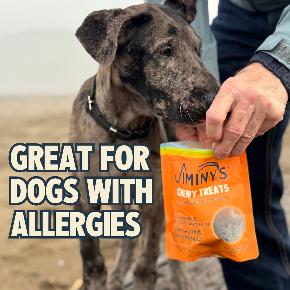 Chewy Treats — Pumpkin & Carrot