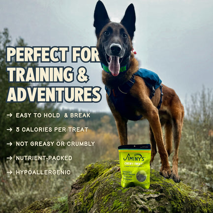 Chewy Treats — Sweet Potato & Peas Recipe