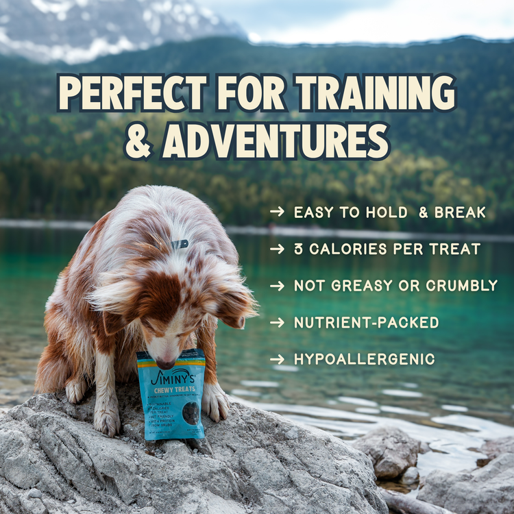 Chewy Peanut Butter & Cranberry Dog Treats for Training – Jiminy's