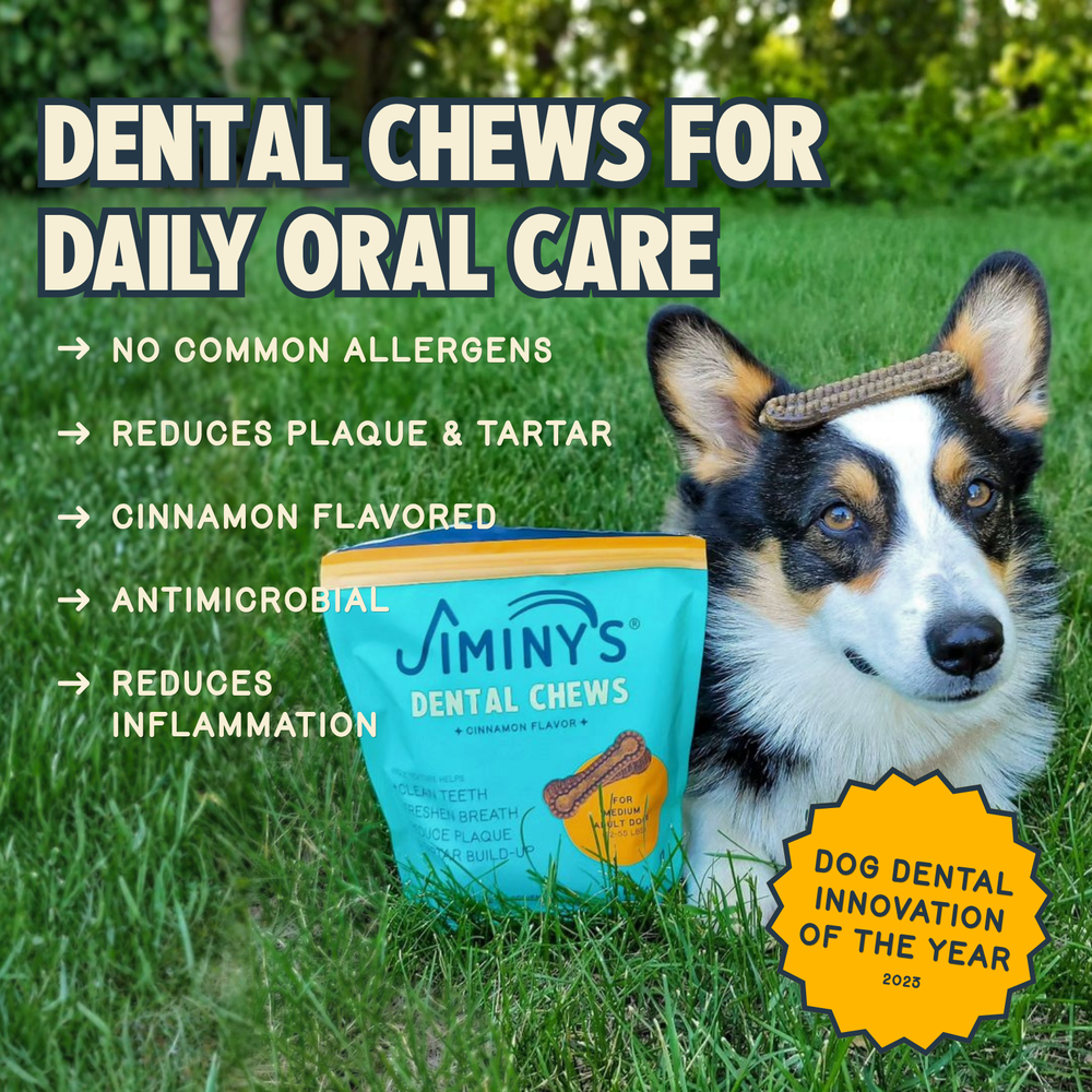 ALLERGY TRANSFORMATION KIT