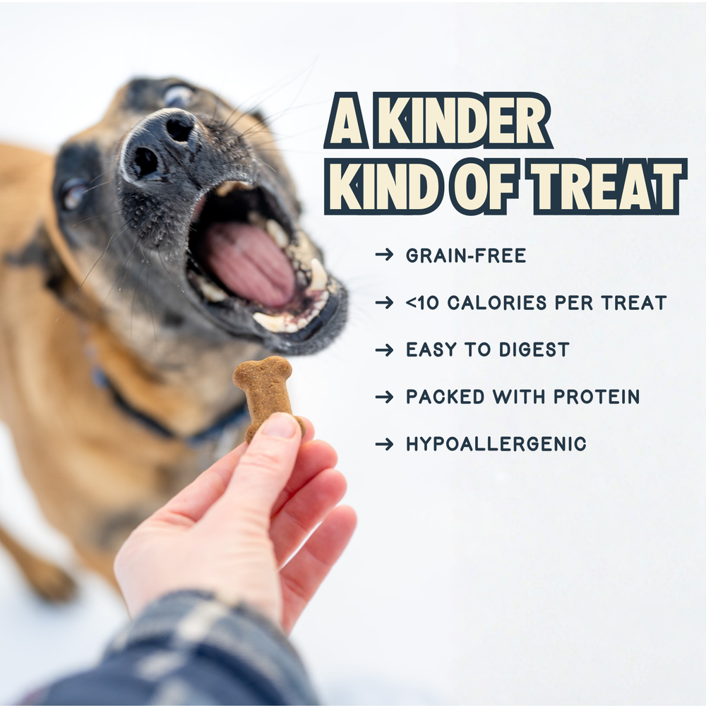 Crunchy Dog Treats Peanut Butter, Flaxseed & Blueberry Recipe