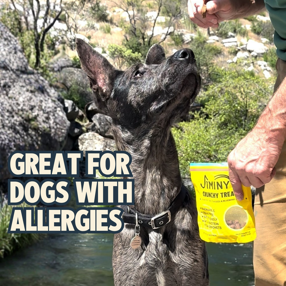 Crunchy Dog Treats Peanut Butter, Flaxseed & Blueberry Recipe