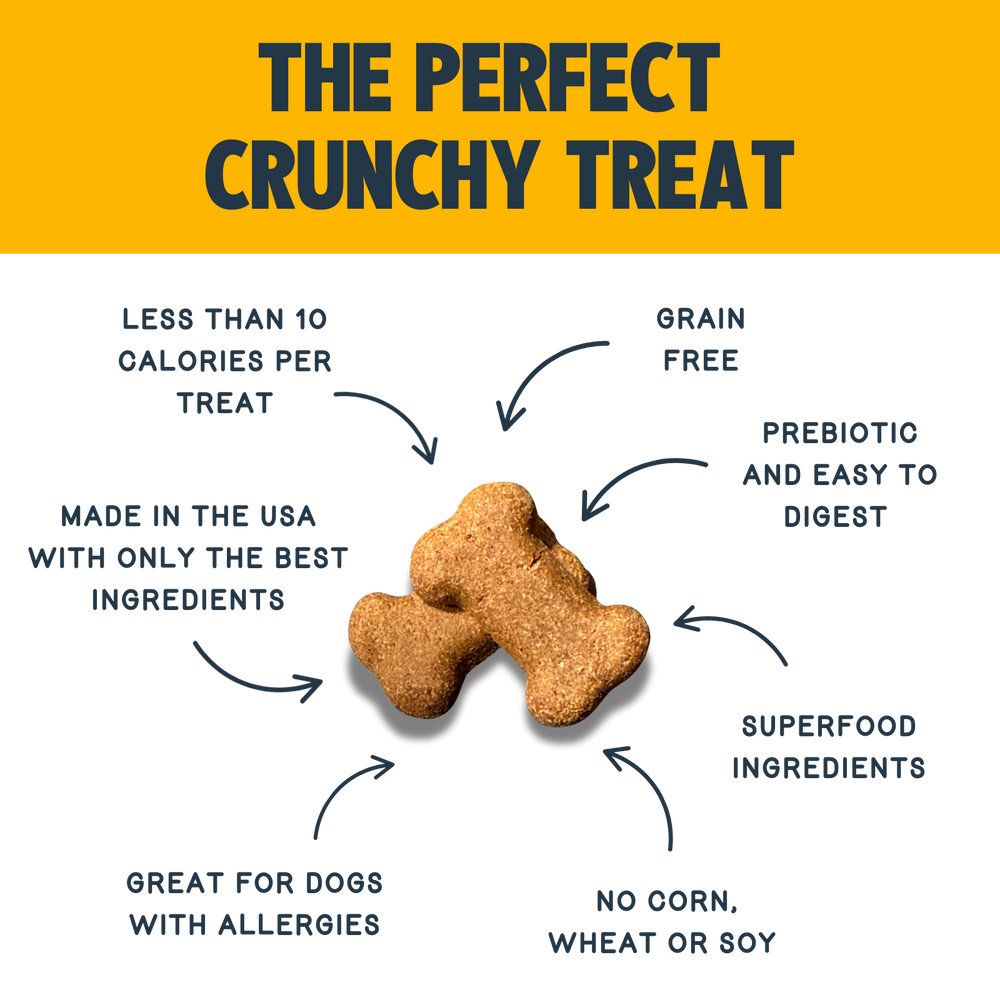 Crunchy Dog Treats Peanut Butter, Flaxseed & Blueberry Recipe