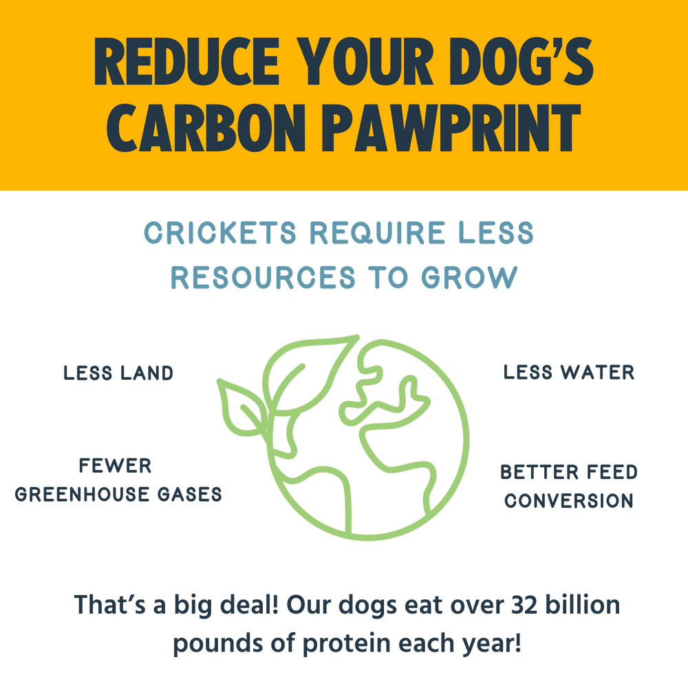 Crunchy Dog Treats Peanut Butter, Flaxseed & Blueberry Recipe