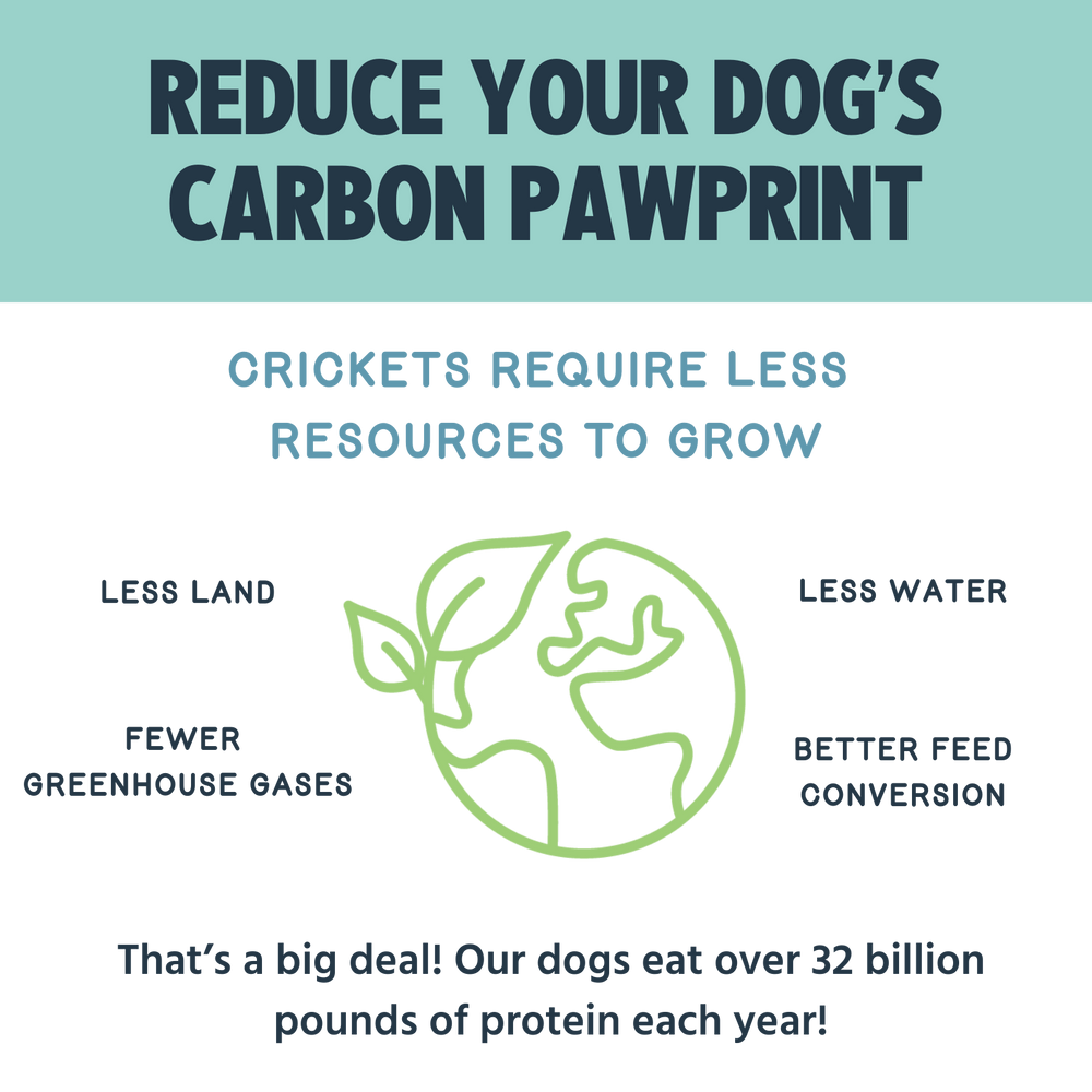 Crunchy Treats — Original Recipe