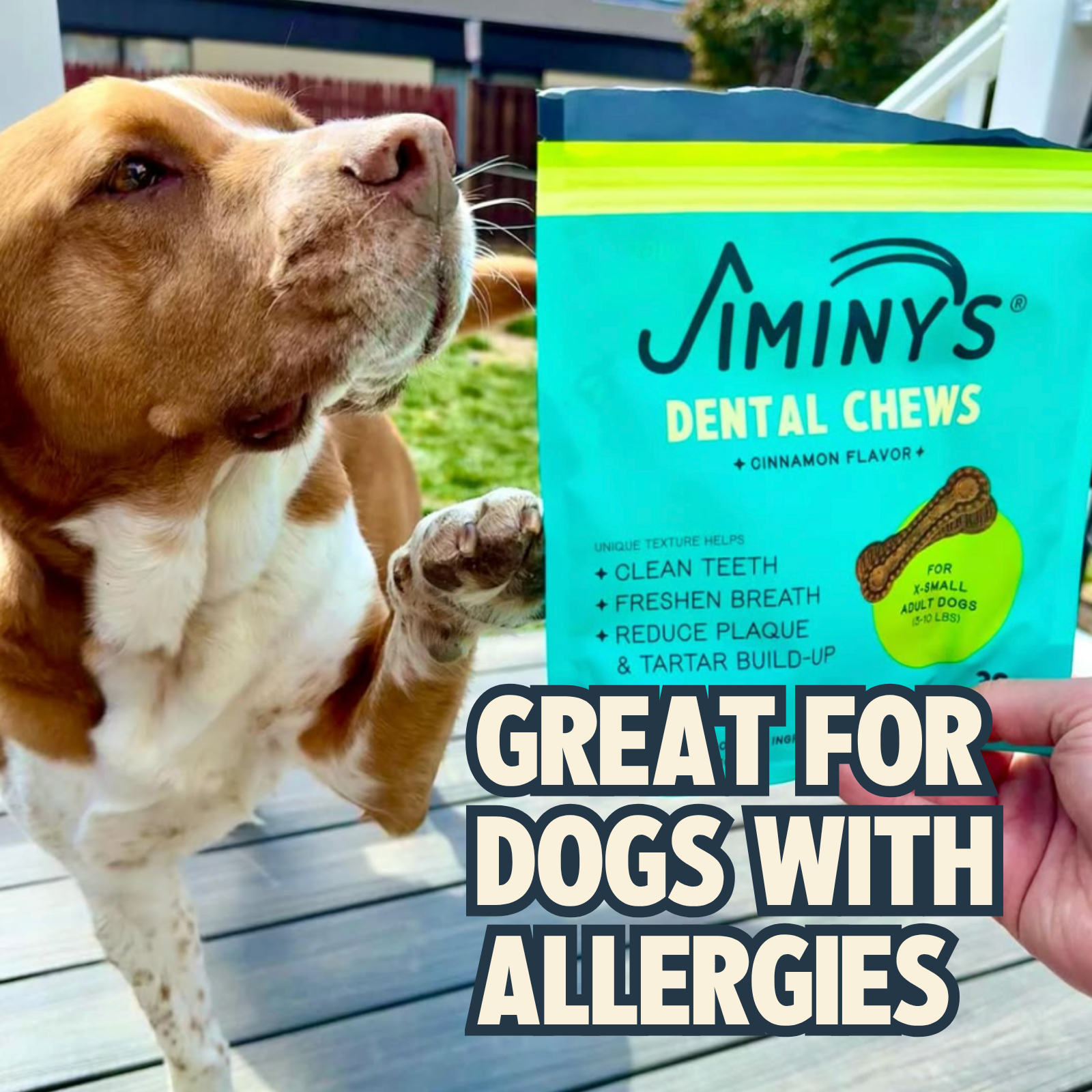 Cinnamon Dental Chews - Extra Small