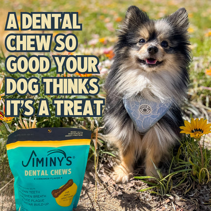 Cinnamon Dental Chews - Small