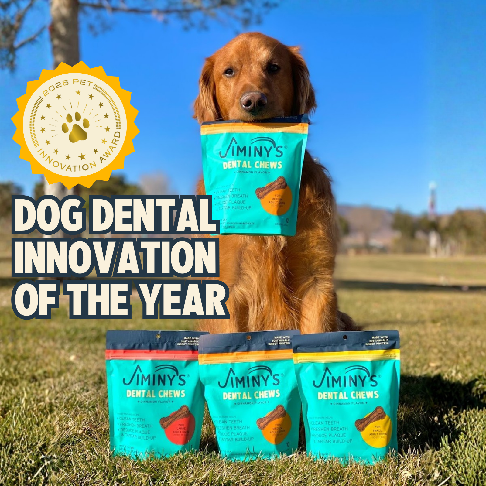 Cinnamon Dental Chews - Small