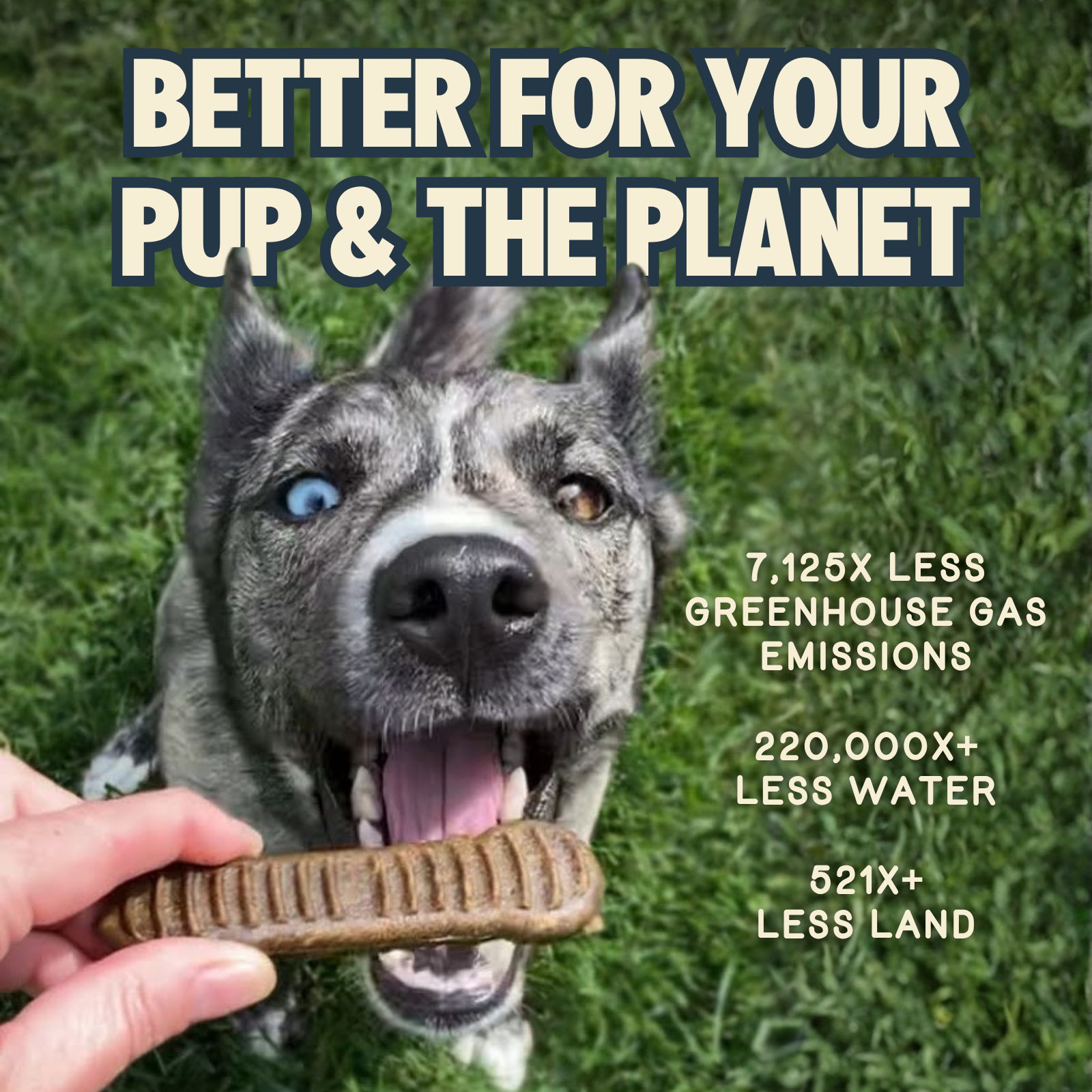 Cinnamon Dental Chews - Small