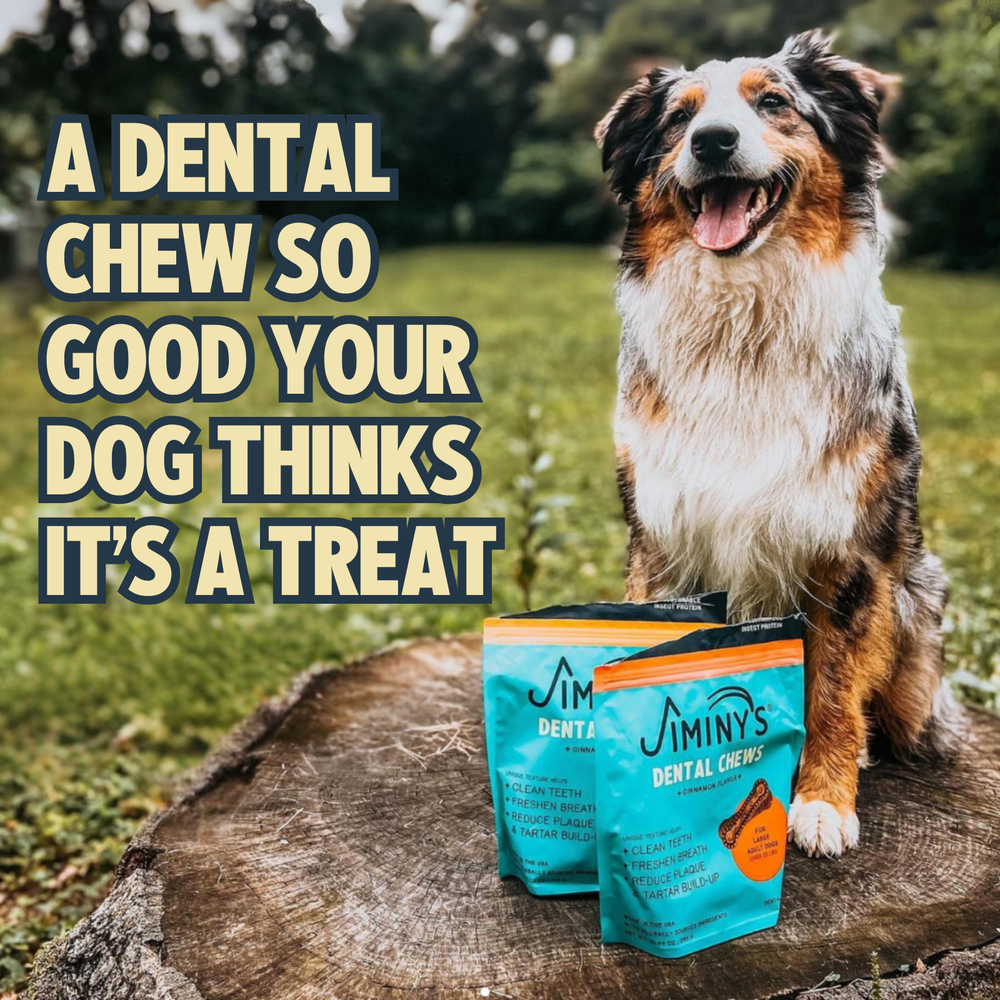 Cinnamon Dental Chews - Medium