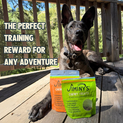 Bundles — Chewy Cricket Treat 2 Pack
