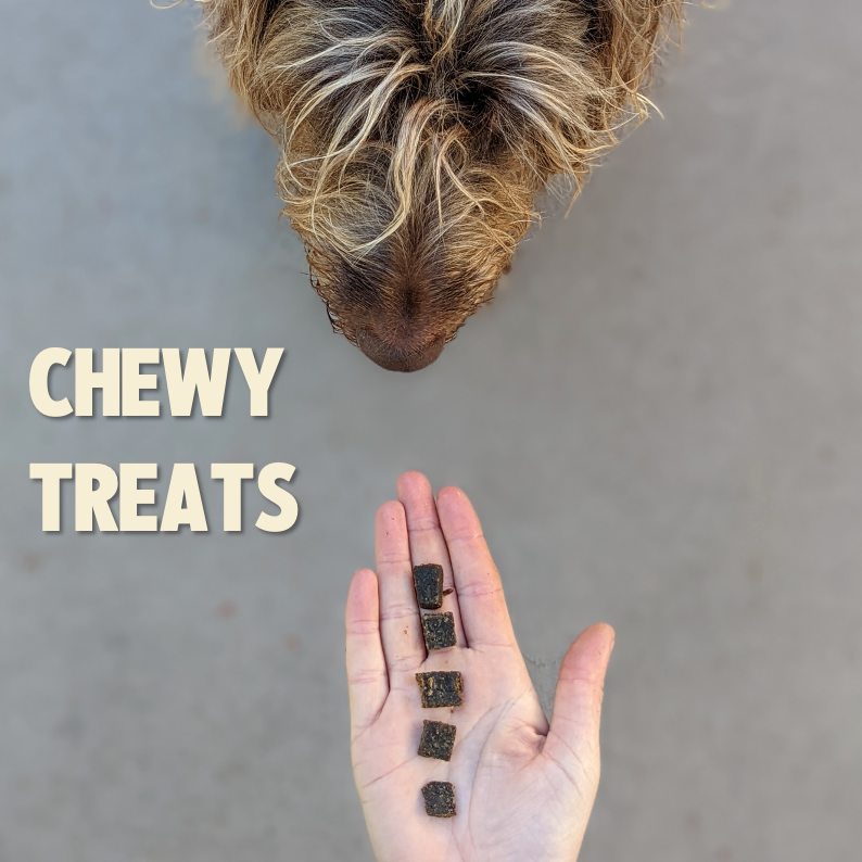 Jiminy's Chewy Training Treats with Cricket Protein bite size treats being offered to a dog