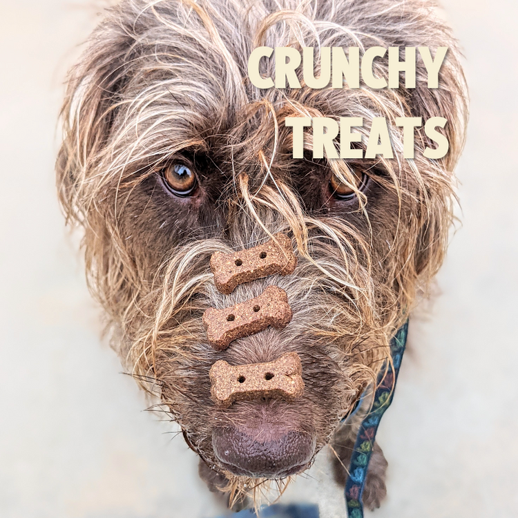 Crunchy Dog Treats Peanut Butter Flaxseed Blueberry Recipe Jiminy s