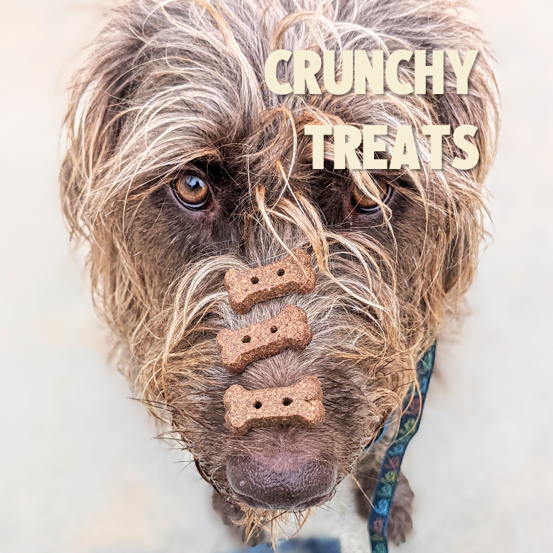 Jiminy's Dog Treats - Crunchy Baked Biscuits on a dog's nose