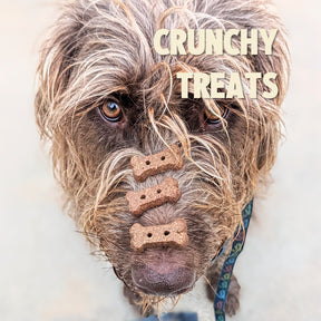 Jiminy's Dog Treats - Crunchy Baked Biscuits on a dog's nose