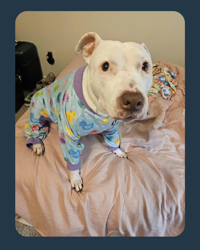 Crunchy Treats — Original Recipe