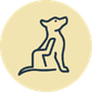 ITCHY DOG?