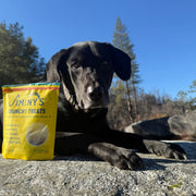 Dog with Crunchy Peanut Butter and Blueberry Dog Treats