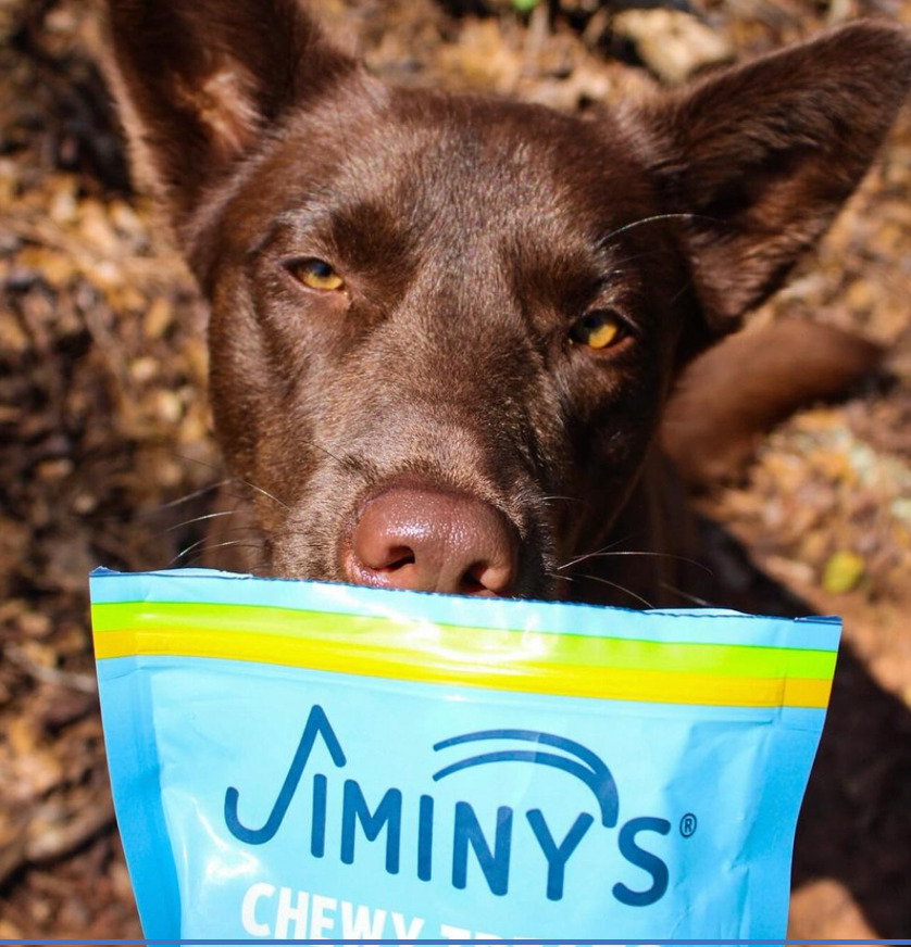 dog with bag of Peanut Butter and Cranberry Recipe Soft and Chewy Training Treats