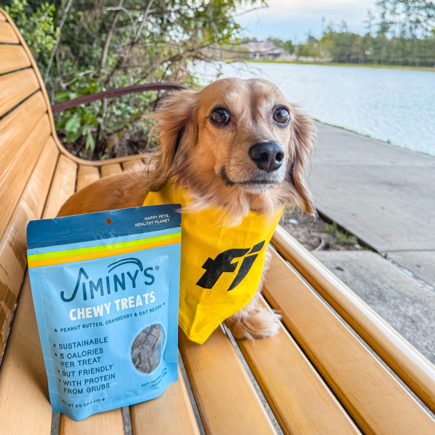 dog with bag of Peanut Butter and Cranberry Recipe Soft and Chewy Training Treats