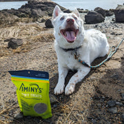 og with a bag of Jiminy's Soft and Chewy Sweet Potato & Peas Dog Training Treats