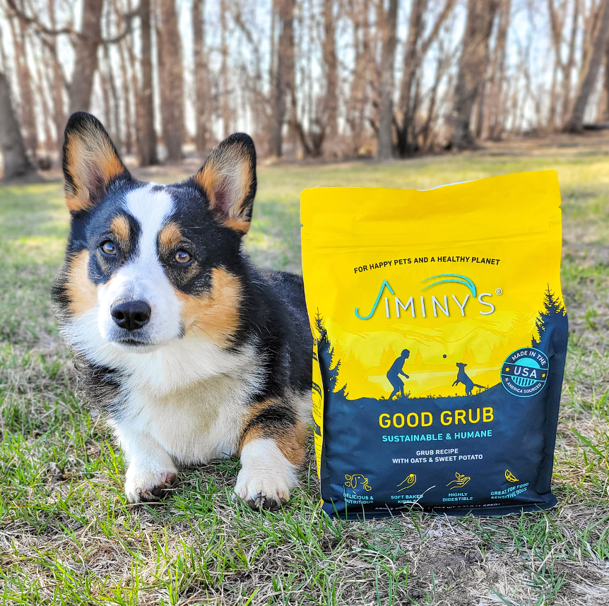 Corgi with bag of Jiminy's Good Grub dog food