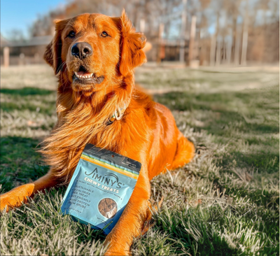 MAINTAINS A SHINY, HEALTHY SKIN & COAT