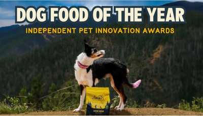 dog food of the year