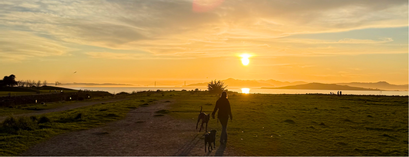 BETTER FOR YOUR DOG,
BETTER FOR THE PLANET