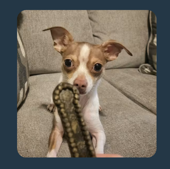 Cinnamon Dental Chews Small