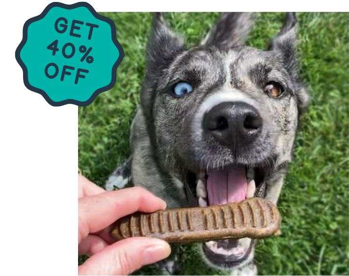 dental chews that<br>actually work