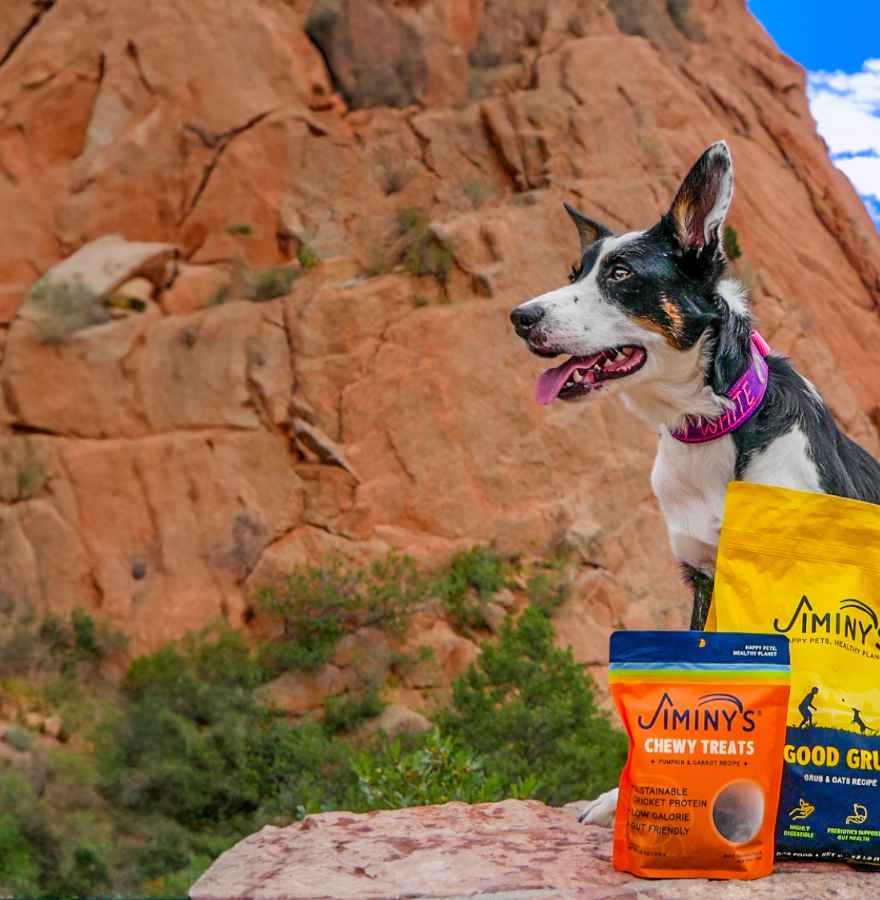 Jiminy s Wholesome Dog Food and Treats Made From Insect Protein