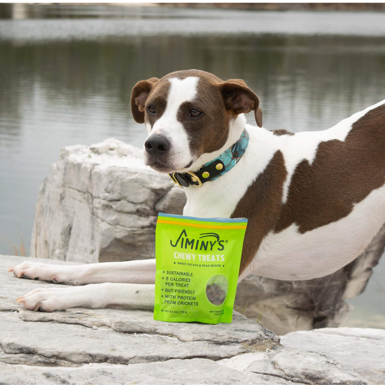 cute dog with sweet potato and peas training treats, chewy cricket dog treats