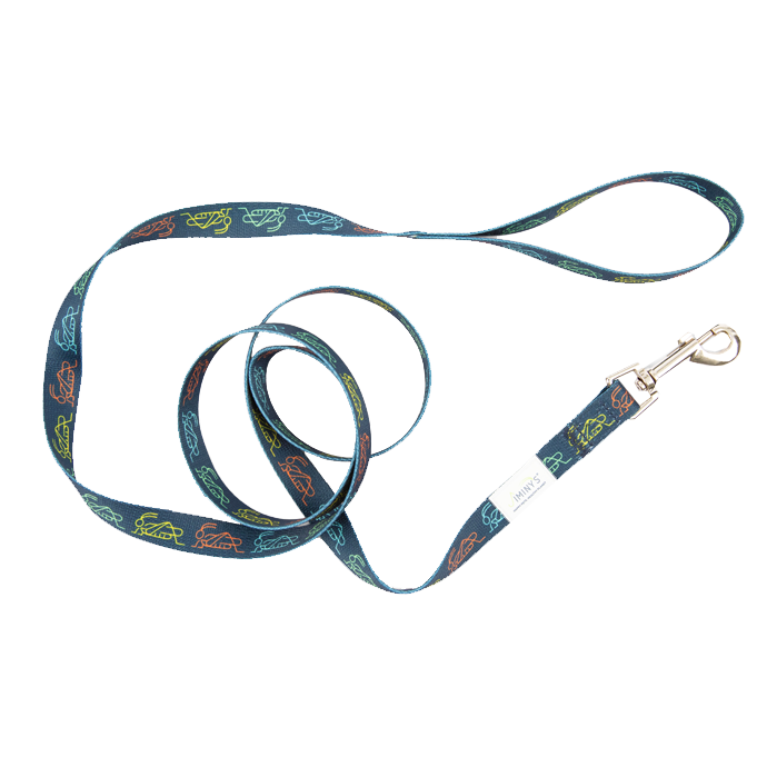 Jiminy's Eco-friendly Dog Leash – Made From Recycled Material 