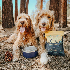 dogs with bag of Jiminy's Insect protein Dog Food Good Grub  
