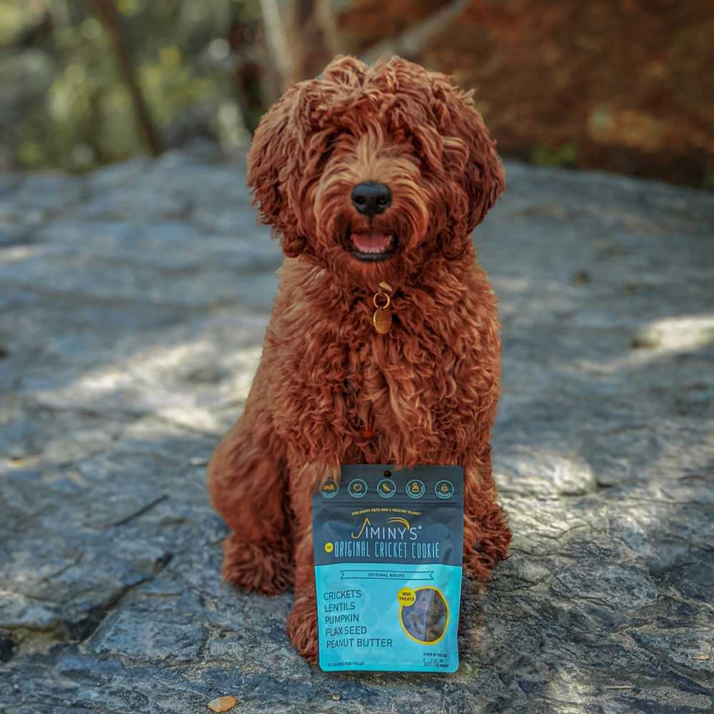 Original Recipe Dog Treats Jiminy s